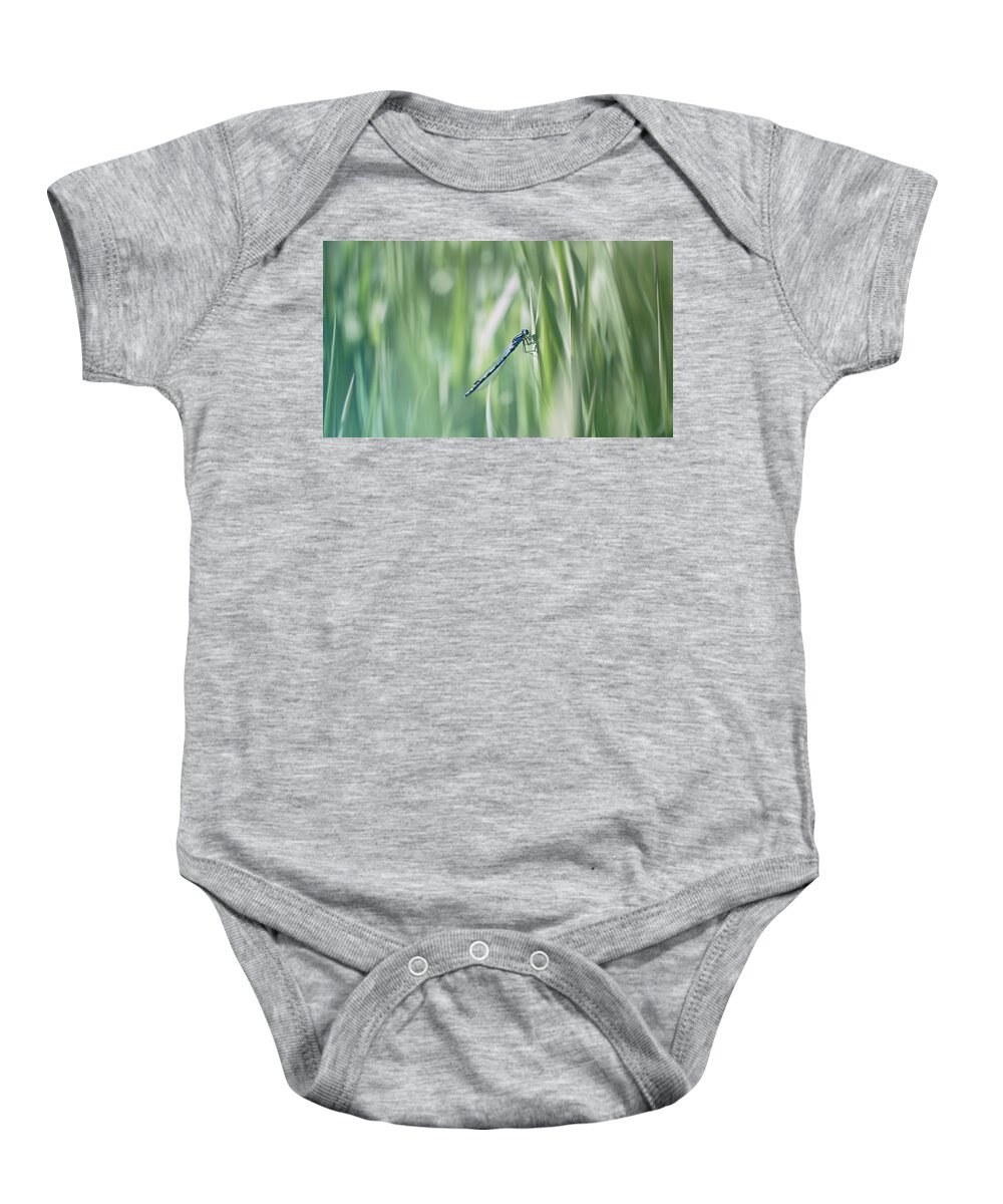 Dragonfly Baby Onesie featuring the photograph Around The Meadow 8 by Jaroslav Buna