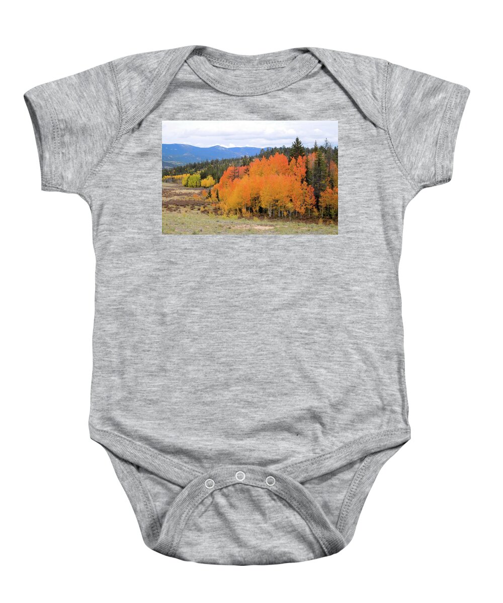 Aspens Baby Onesie featuring the photograph Aspens Ablaze I by Karen Stansberry