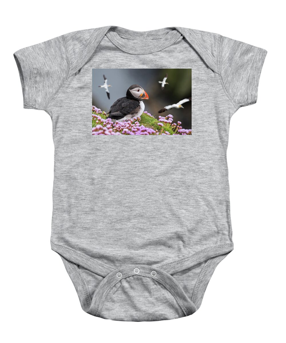 Atlantic Puffin Baby Onesie featuring the photograph Atlantic Puffin and Soaring Gannets by Arterra Picture Library