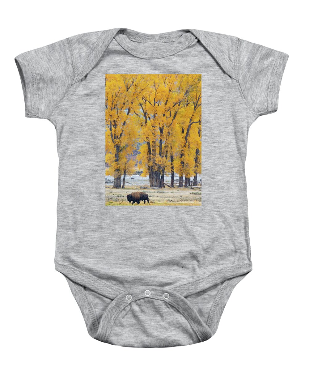 Yellowstone National Park Baby Onesie featuring the photograph Autumn March by Max Waugh