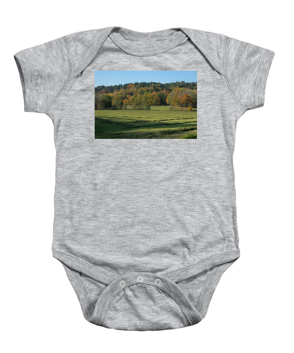 Sweden Baby Onesie featuring the pyrography Autumn scenery by Magnus Haellquist