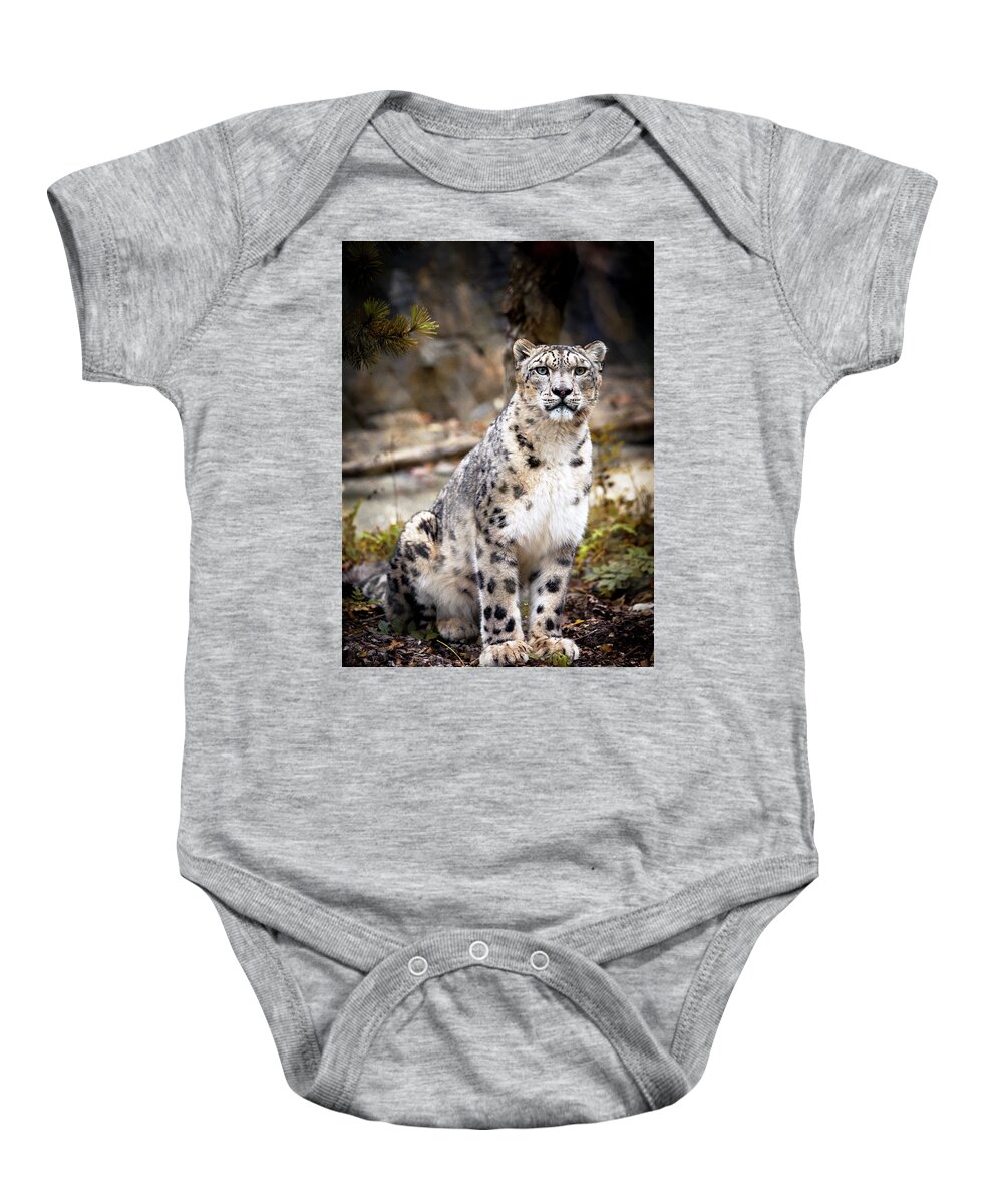 Snow Baby Onesie featuring the photograph AutumnalLeopard by Chris Boulton