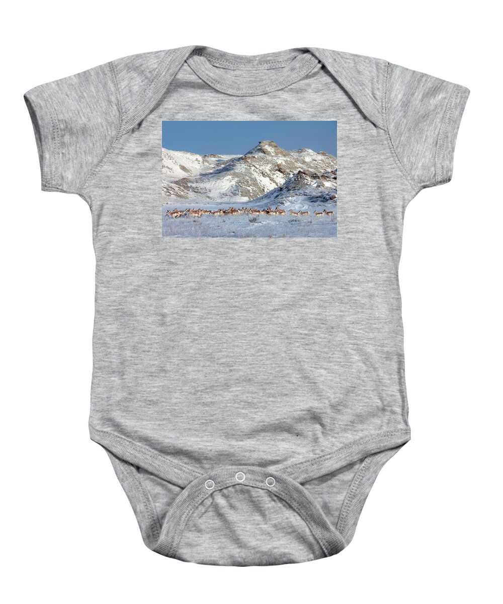 Badlands Baby Onesie featuring the photograph Badlands Antelope by Todd Klassy