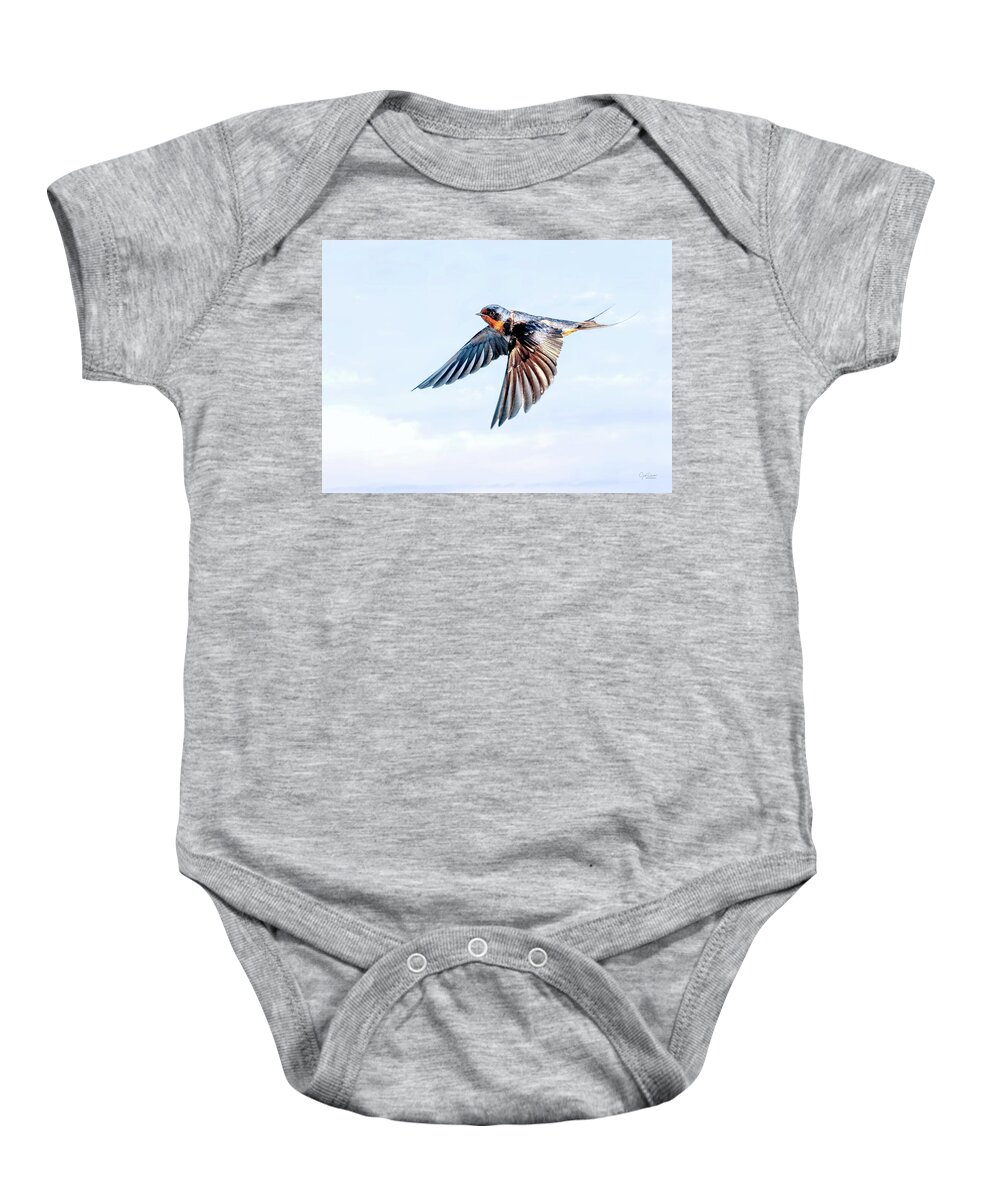 Barn Swallows Baby Onesie featuring the photograph Barn Swallow Flight by Judi Dressler