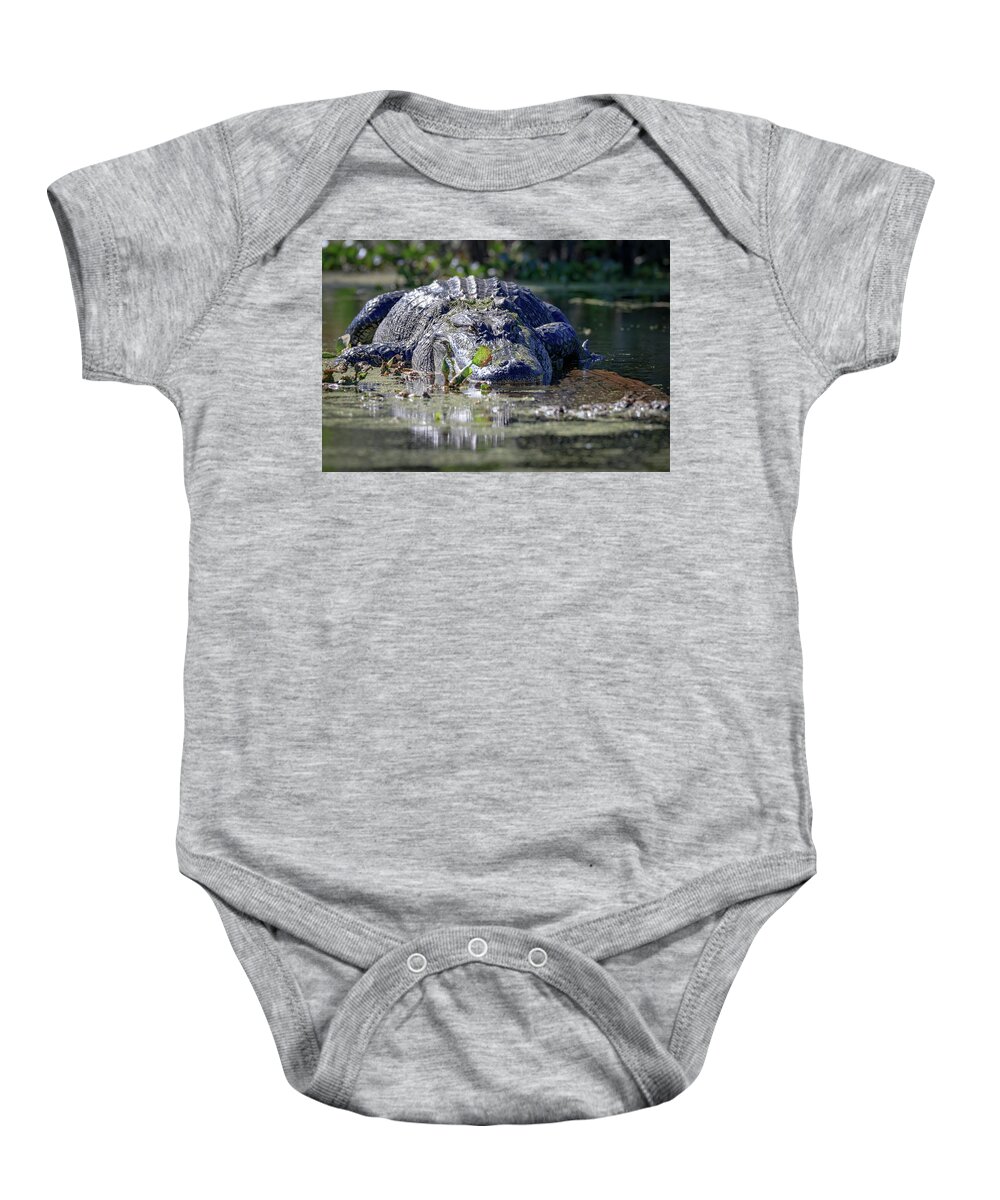 Gator Baby Onesie featuring the photograph Beached Gator by JASawyer Imaging