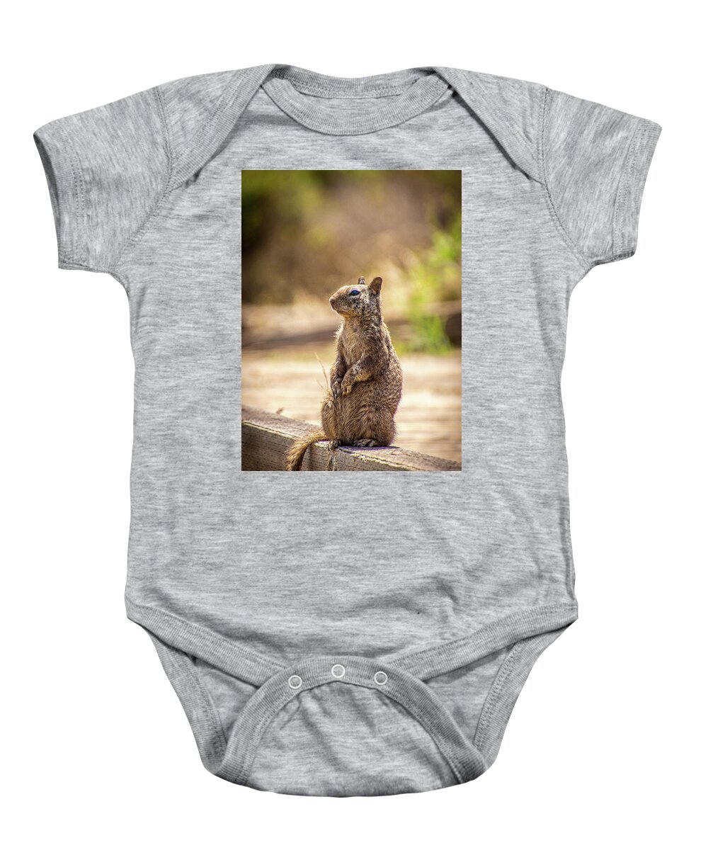 California Beach Squirrel Baby Onesie featuring the photograph Beach ground squirrel by Donald Pash