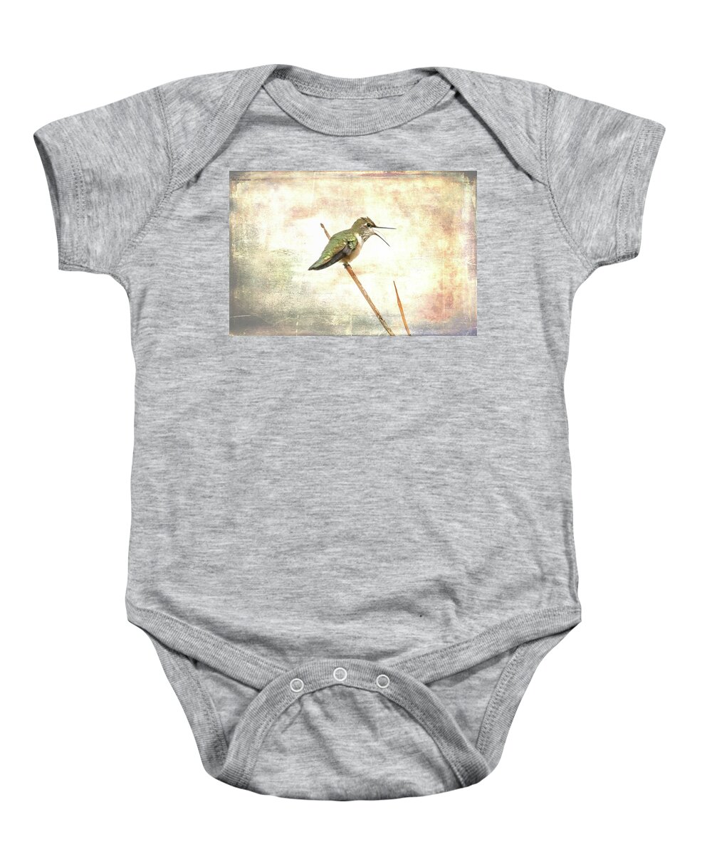Hummingbird Baby Onesie featuring the photograph Begging to Be Fed by Jennifer Grossnickle