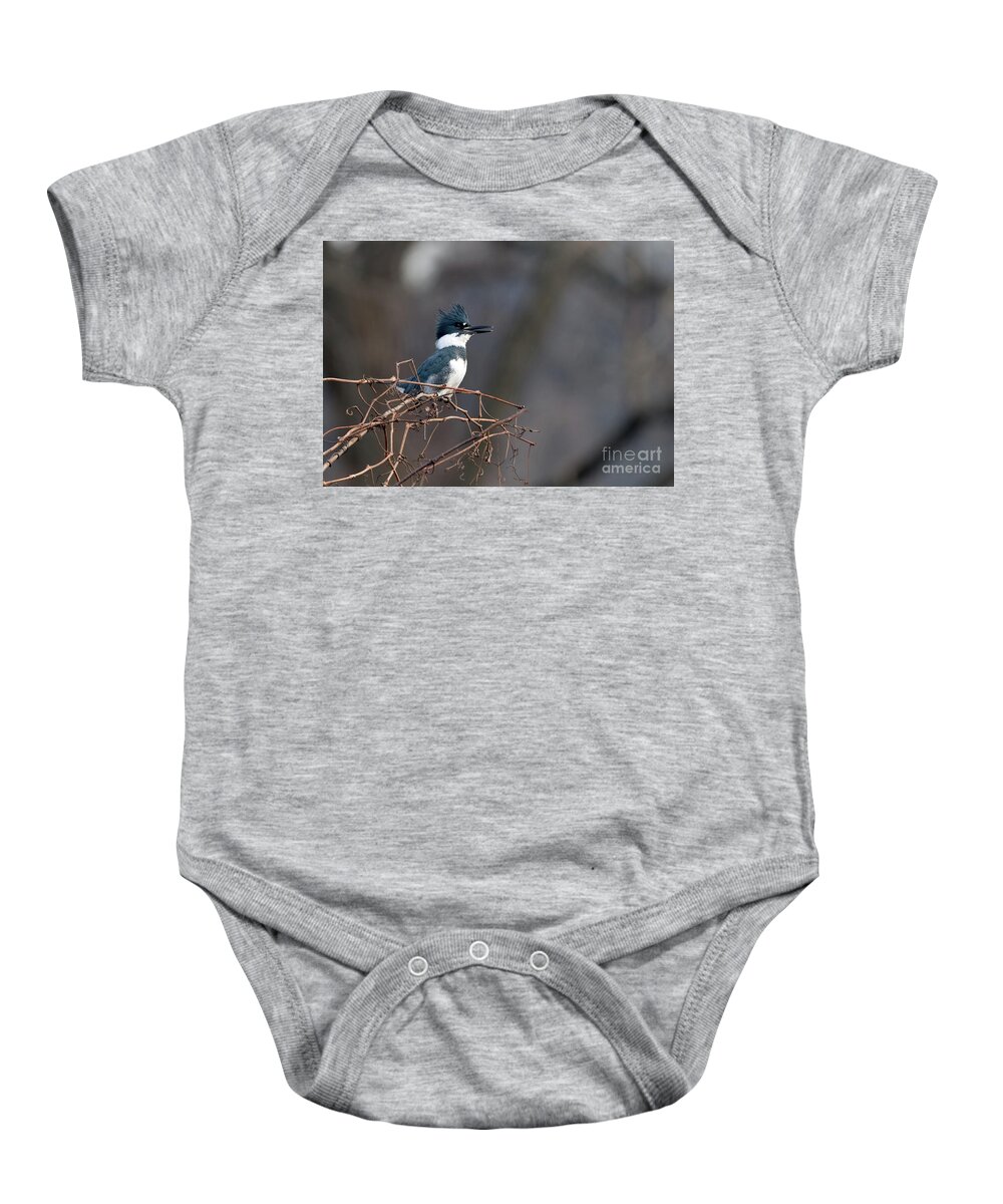 Kingfisher Baby Onesie featuring the photograph Belted KingFisher by Sam Rino