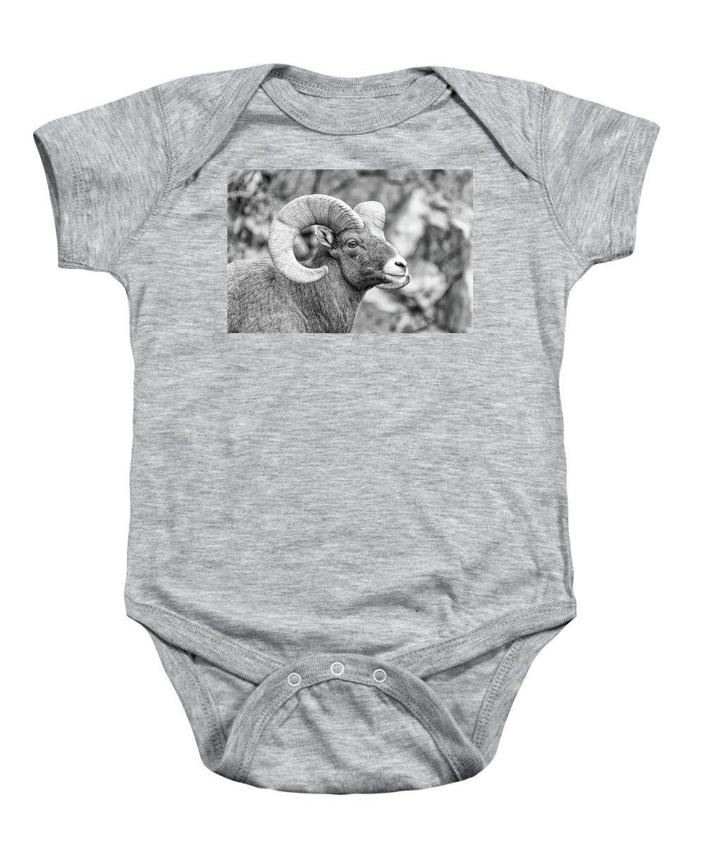 Bighorn Sheep Baby Onesie featuring the photograph Bighorn Sheep Ram Posing in Black and White by Tony Hake