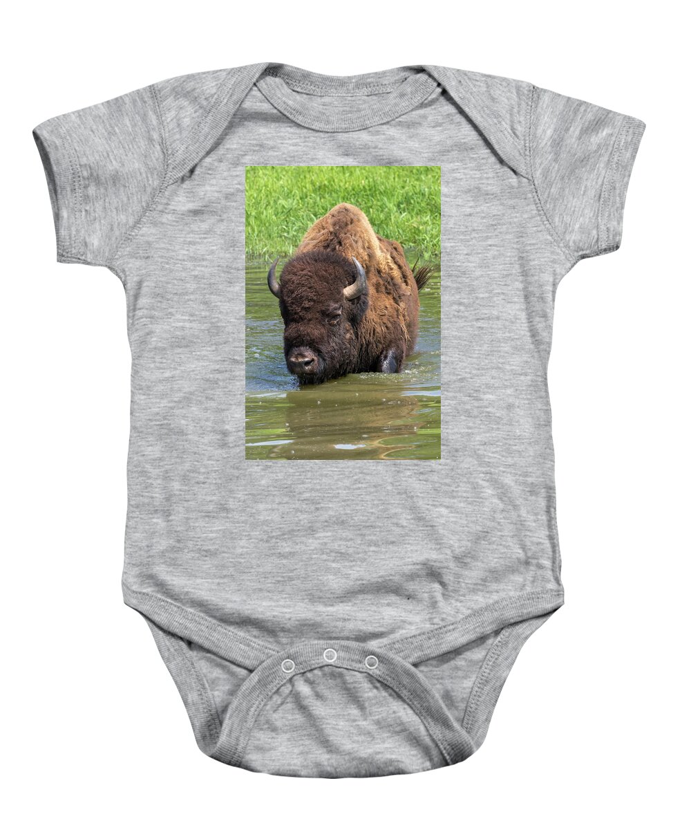 America Baby Onesie featuring the photograph Bison Bathing by Ivan Kuzmin