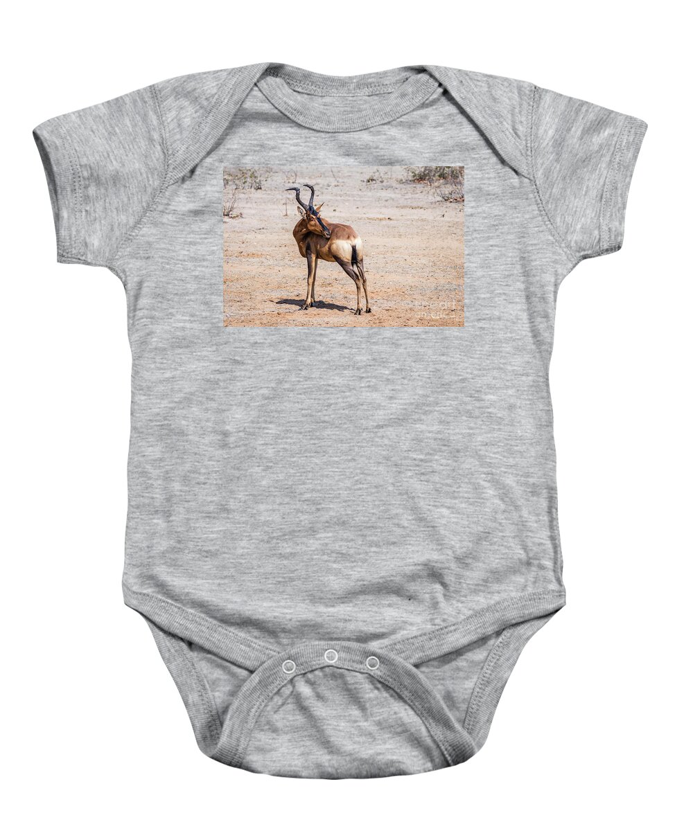 Impala Baby Onesie featuring the photograph Black faced impala, Namibia by Lyl Dil Creations