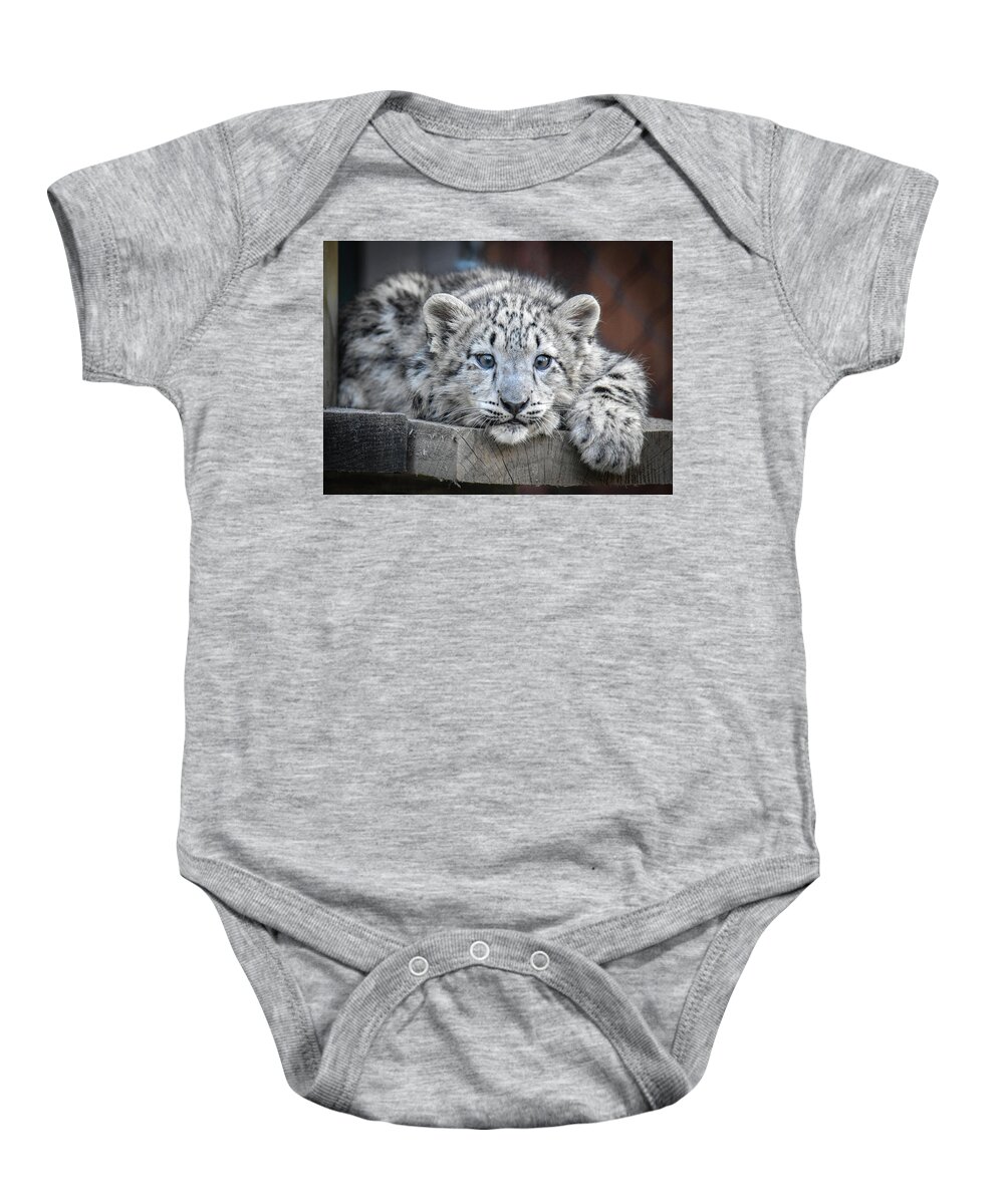 Tiger Baby Onesie featuring the photograph Blue Eyed Tiger Cub by Michelle Wittensoldner