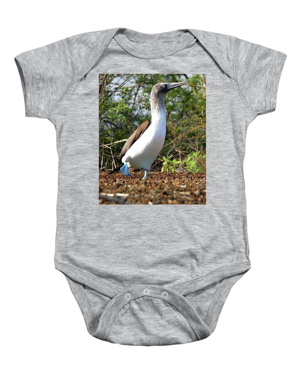 Blue Footed Booby Baby Onesie featuring the photograph Blue Footed Booby by Jennifer Wheatley Wolf
