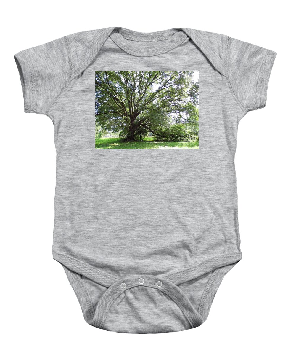 Oak Baby Onesie featuring the photograph Branching Out by D Hackett