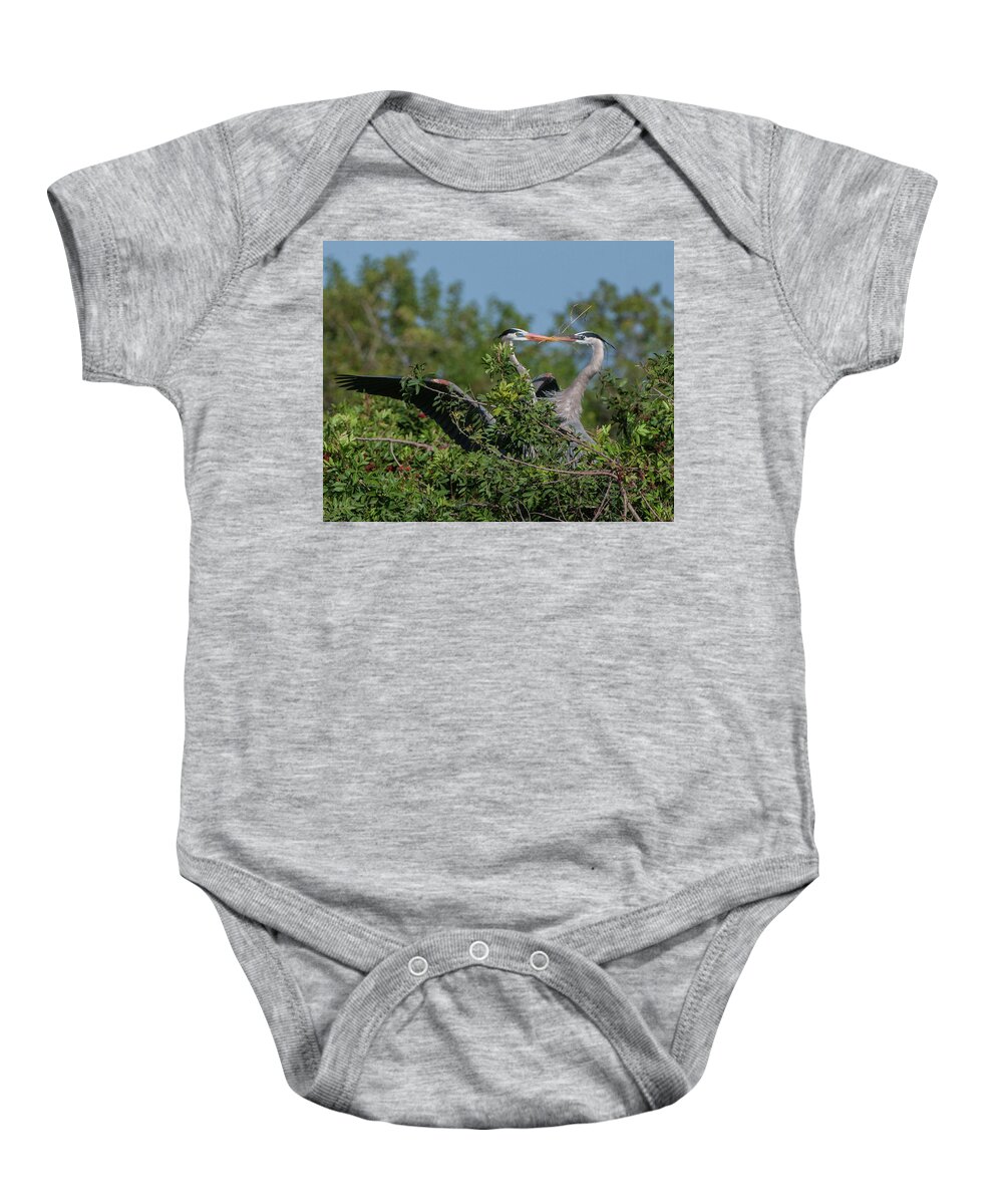 Birds Baby Onesie featuring the photograph Breeding Herons by Donald Brown