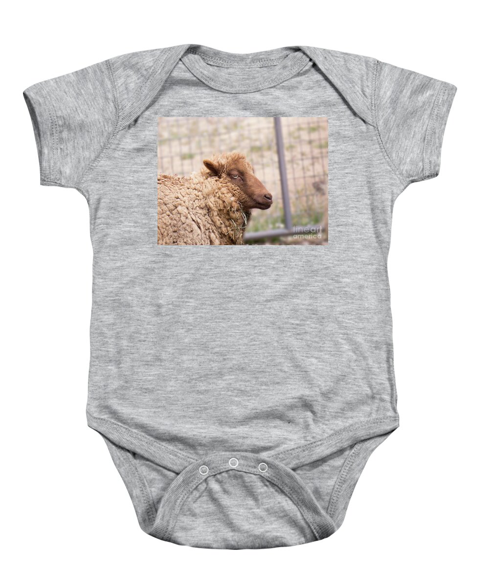 Sheep Baby Onesie featuring the photograph Brown Sheep Face 3 by Christy Garavetto