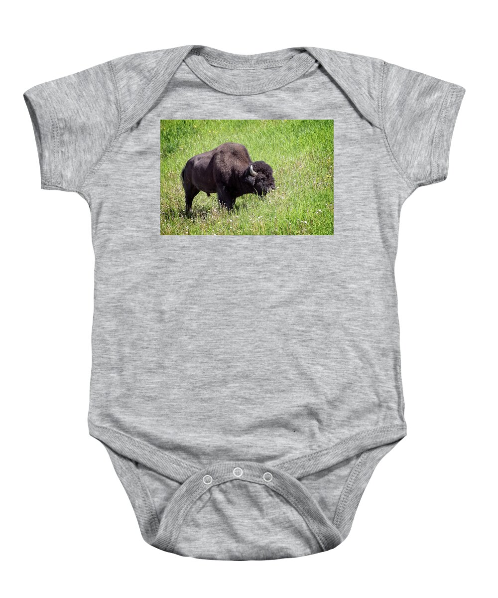 Buffalo Baby Onesie featuring the photograph Buffalos Spring Feast by Jeanette Mahoney