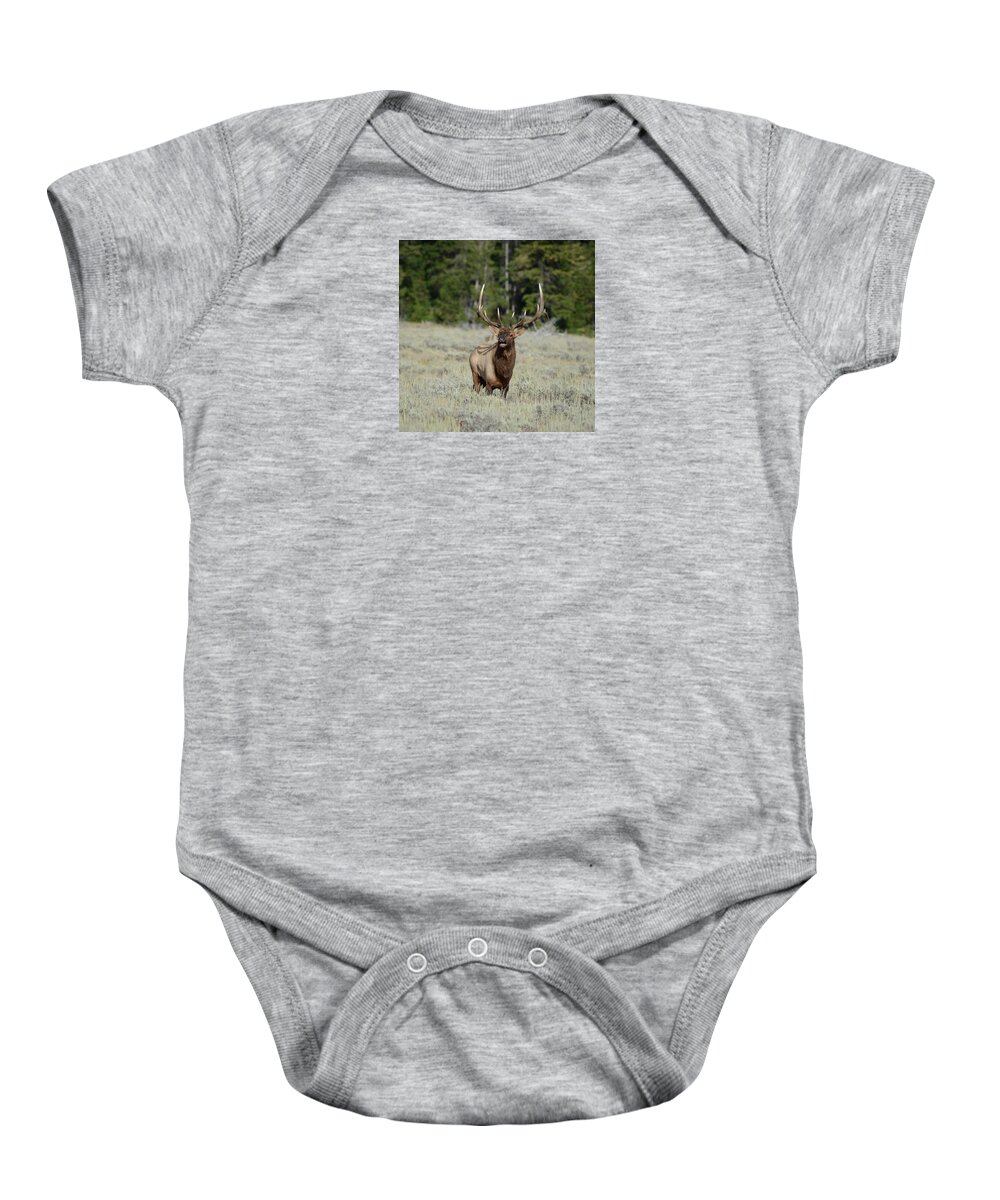 Bugling Baby Onesie featuring the photograph Bugling Bull Elk by Whispering Peaks Photography