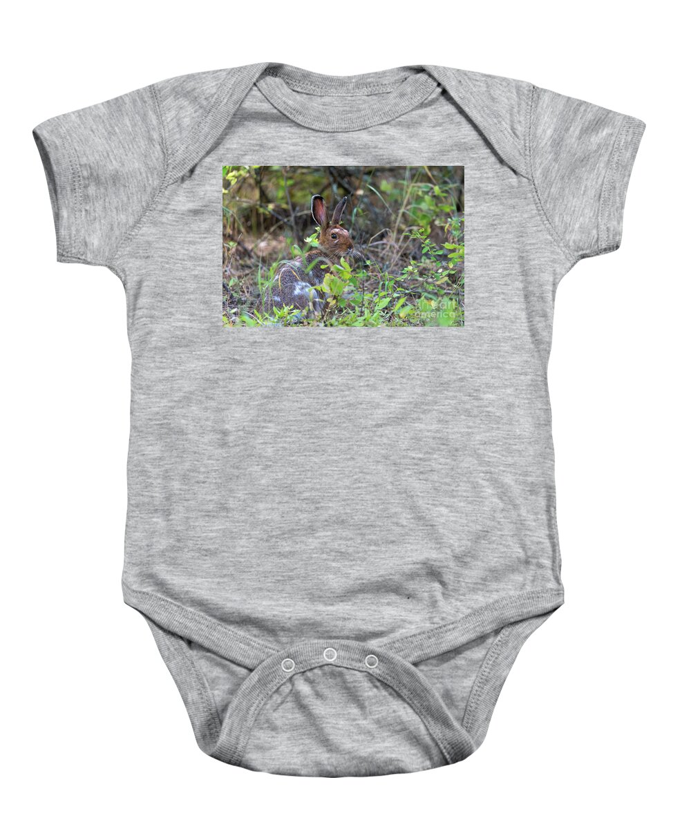 Rabbit Baby Onesie featuring the photograph Bunny in the Wild by Matthew Nelson