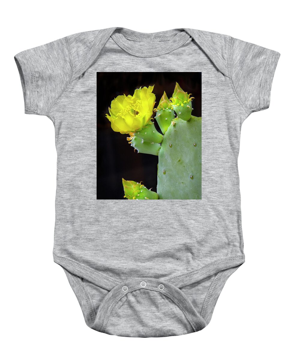 Texas Baby Onesie featuring the photograph Texas Cactus Blooms With Bee II by Harriet Feagin
