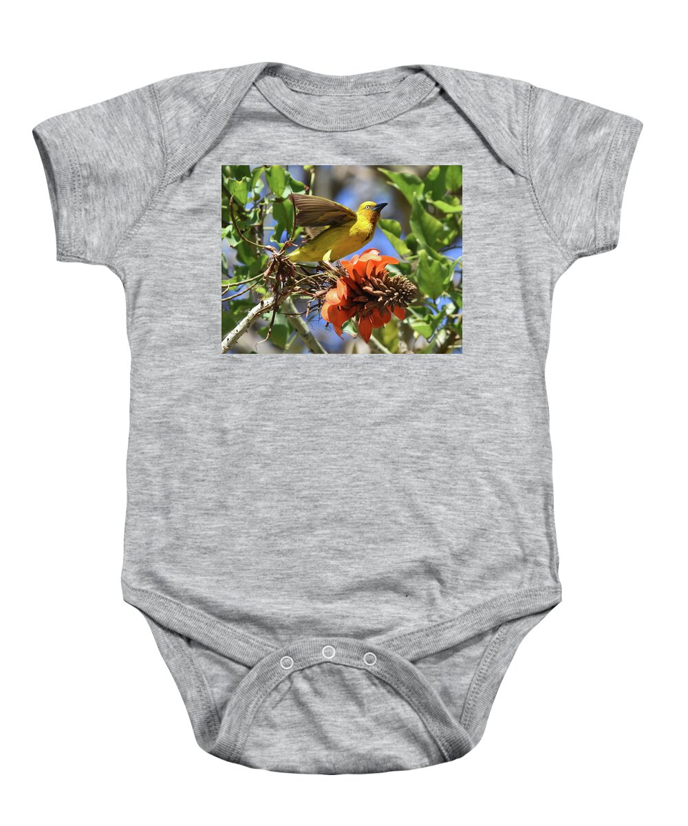 Weaver Baby Onesie featuring the photograph Cape Weaver by Ben Foster