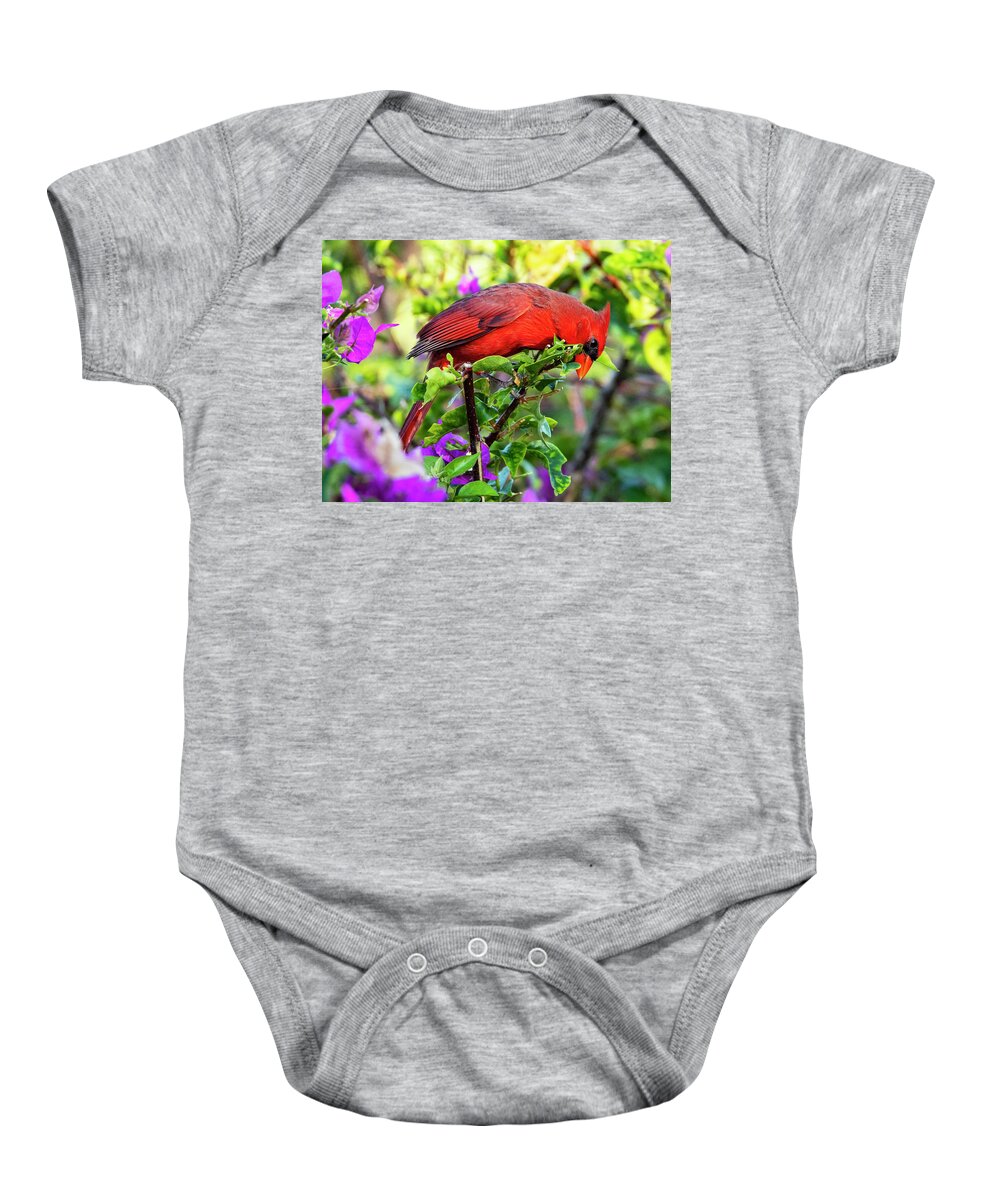 Cardinal Baby Onesie featuring the photograph Cardinal in Bougainvillea by Don Durfee