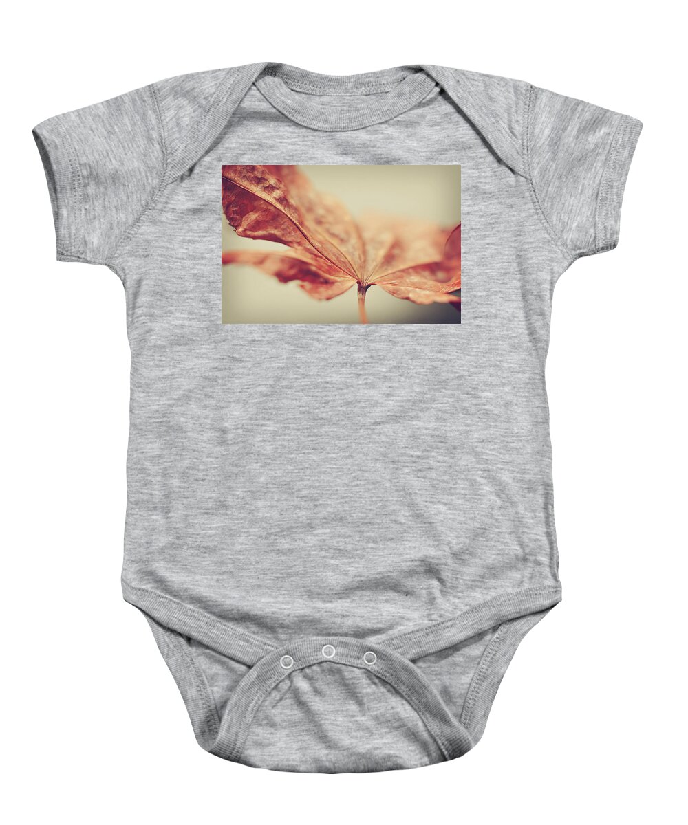 Rust Colored Baby Onesie featuring the photograph Central Focus by Michelle Wermuth