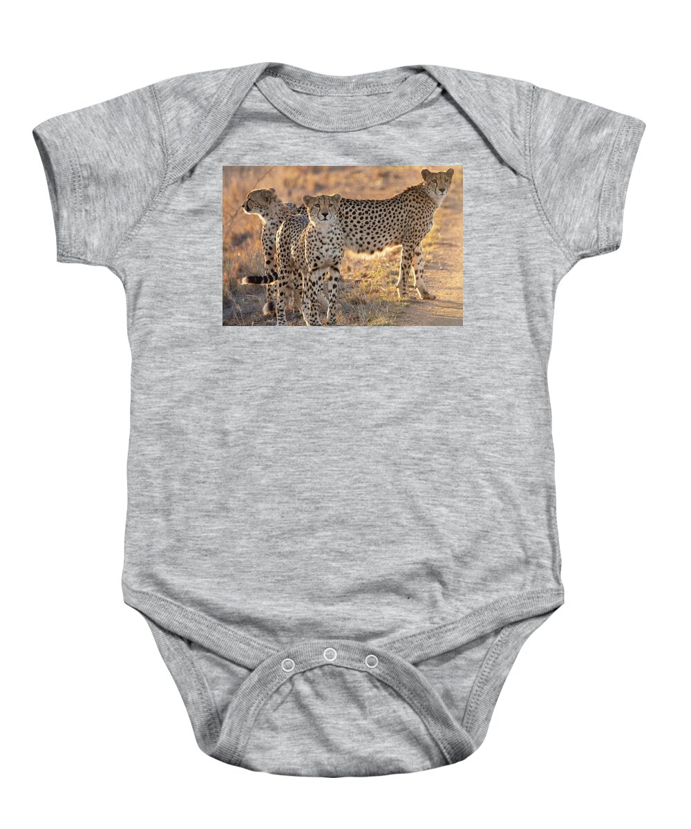 Cheetah Baby Onesie featuring the photograph Cheetah family by Patrick Nowotny