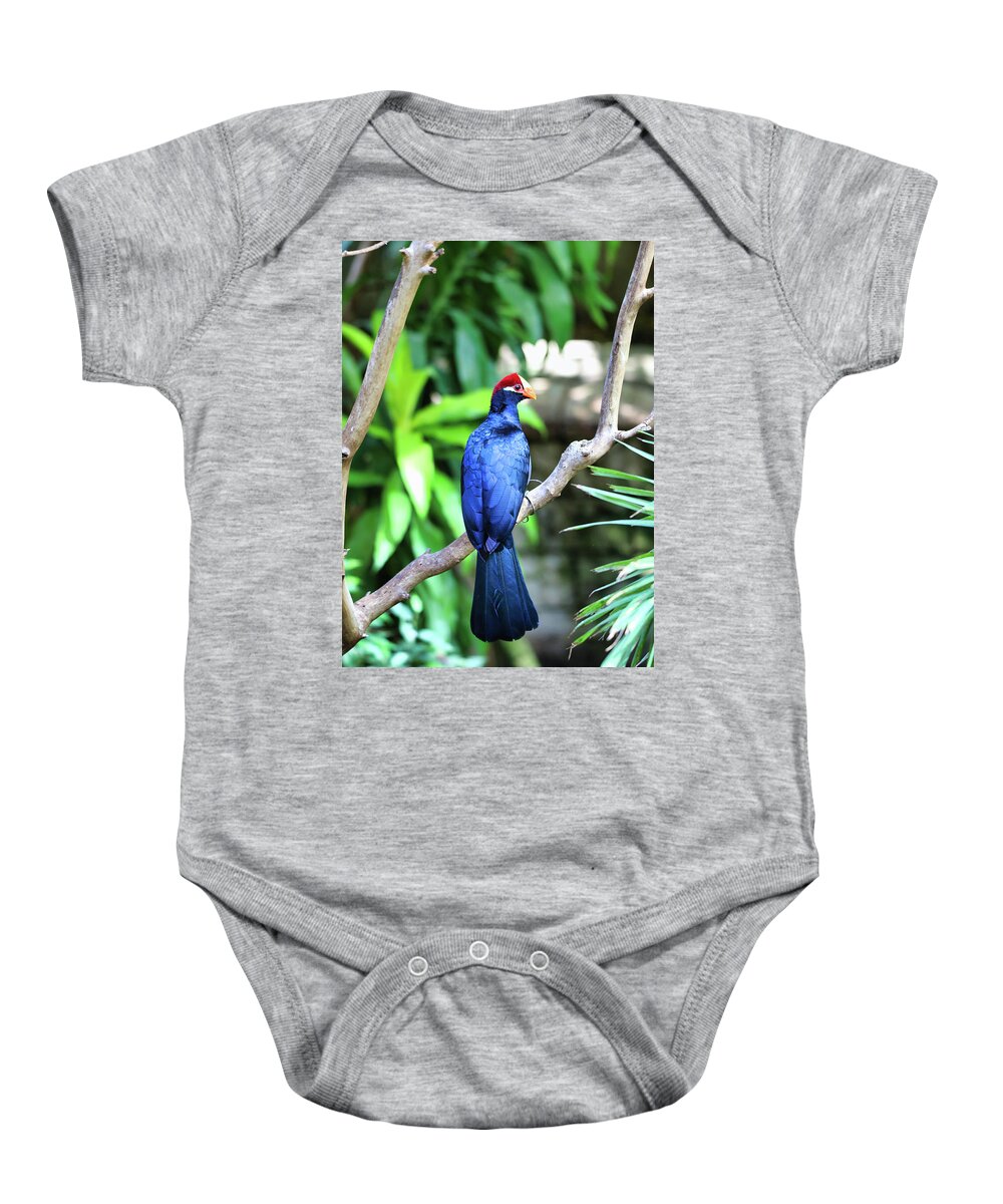 Large Bird Baby Onesie featuring the photograph Colorful Bird by Scott Burd