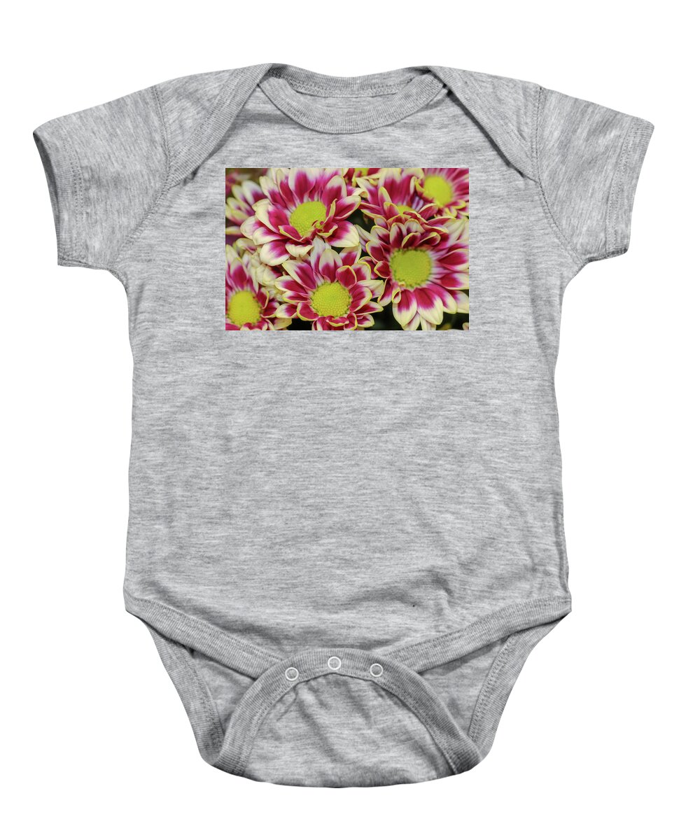 Fall Baby Onesie featuring the photograph Colorful Fall Blooms by Mary Anne Delgado