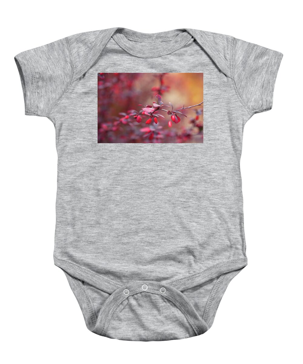 Jenny Rainbow Fine Art Photography Baby Onesie featuring the photograph Concorde Japanese Barberry. Autumn Mood by Jenny Rainbow
