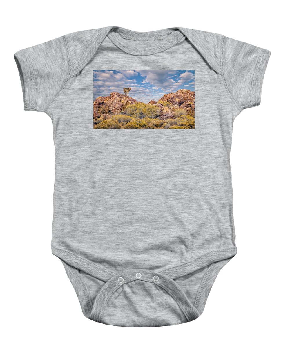 Coyote Baby Onesie featuring the photograph Coyote on the Rocks by Rick Mosher