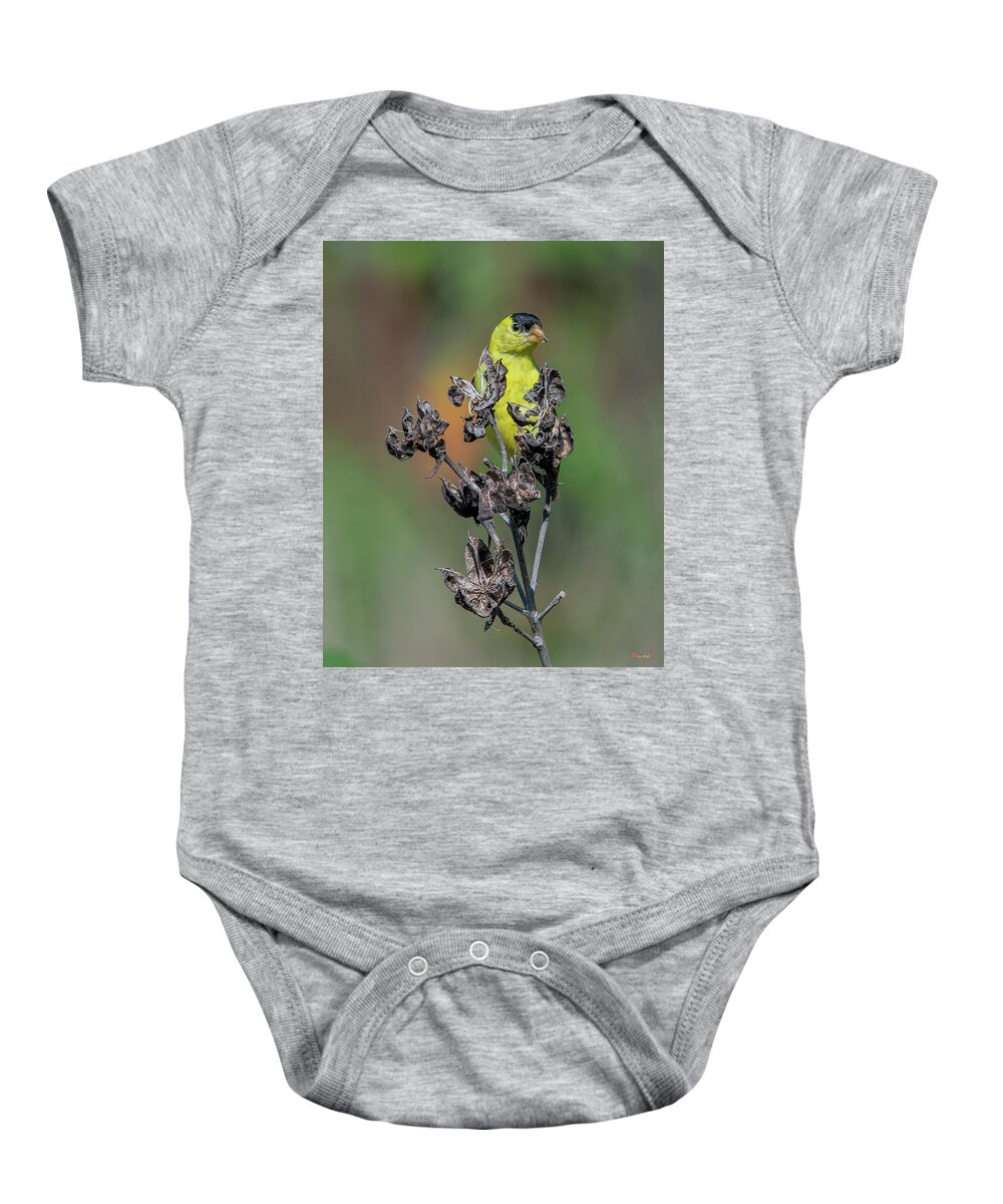 Nature Baby Onesie featuring the photograph Crimson-eyed Rosemallow Seed Pods DFL0923 by Gerry Gantt