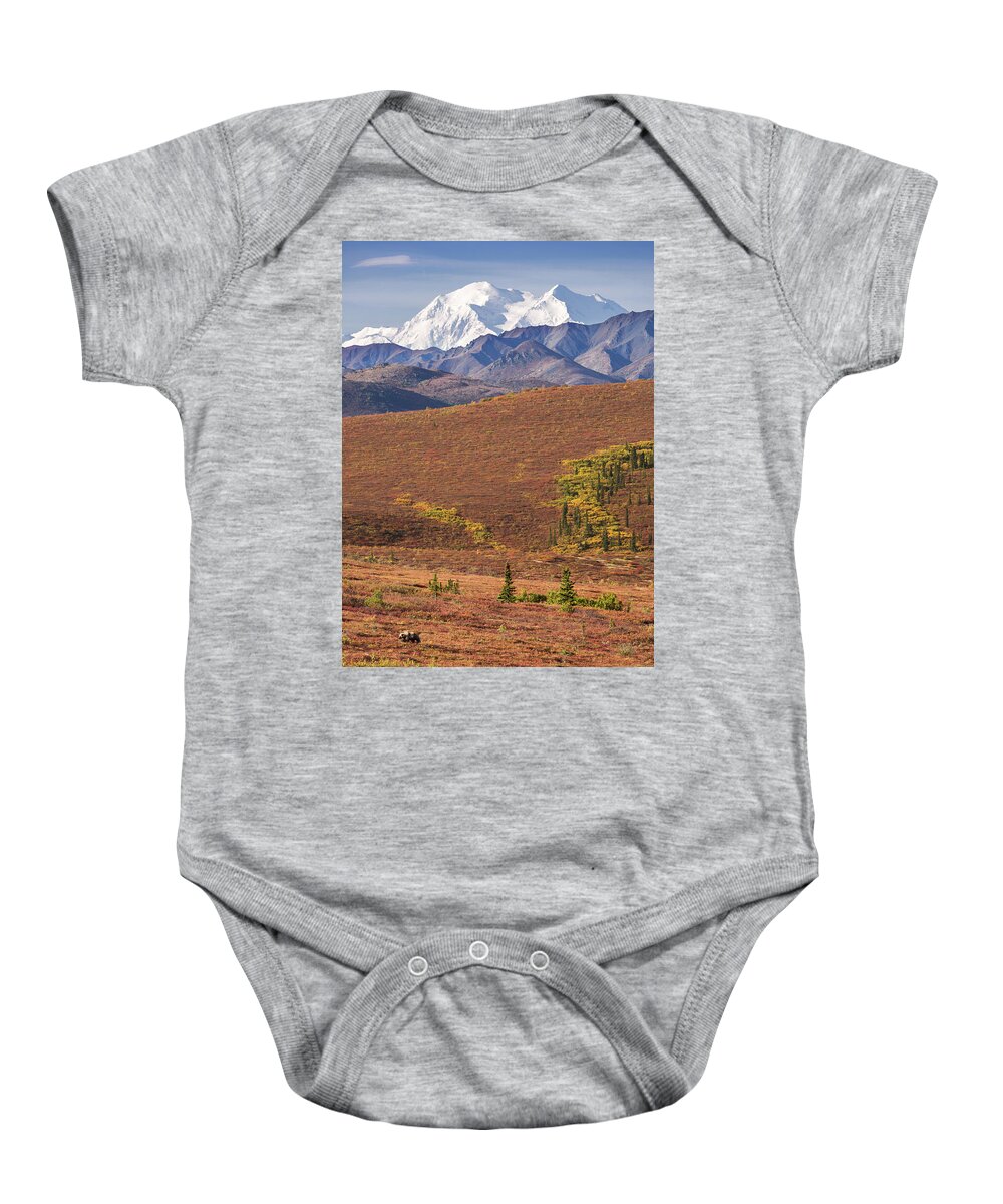 Alaska Baby Onesie featuring the photograph Denali Grizzly by Tim Newton