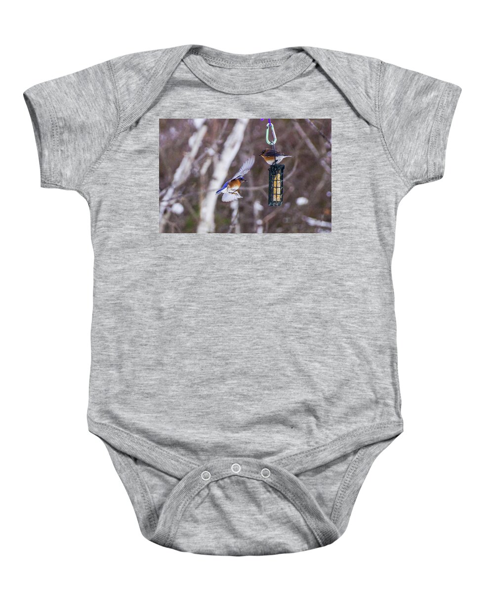 Bird Baby Onesie featuring the photograph Docking Bluebird by Rockybranch Dreams