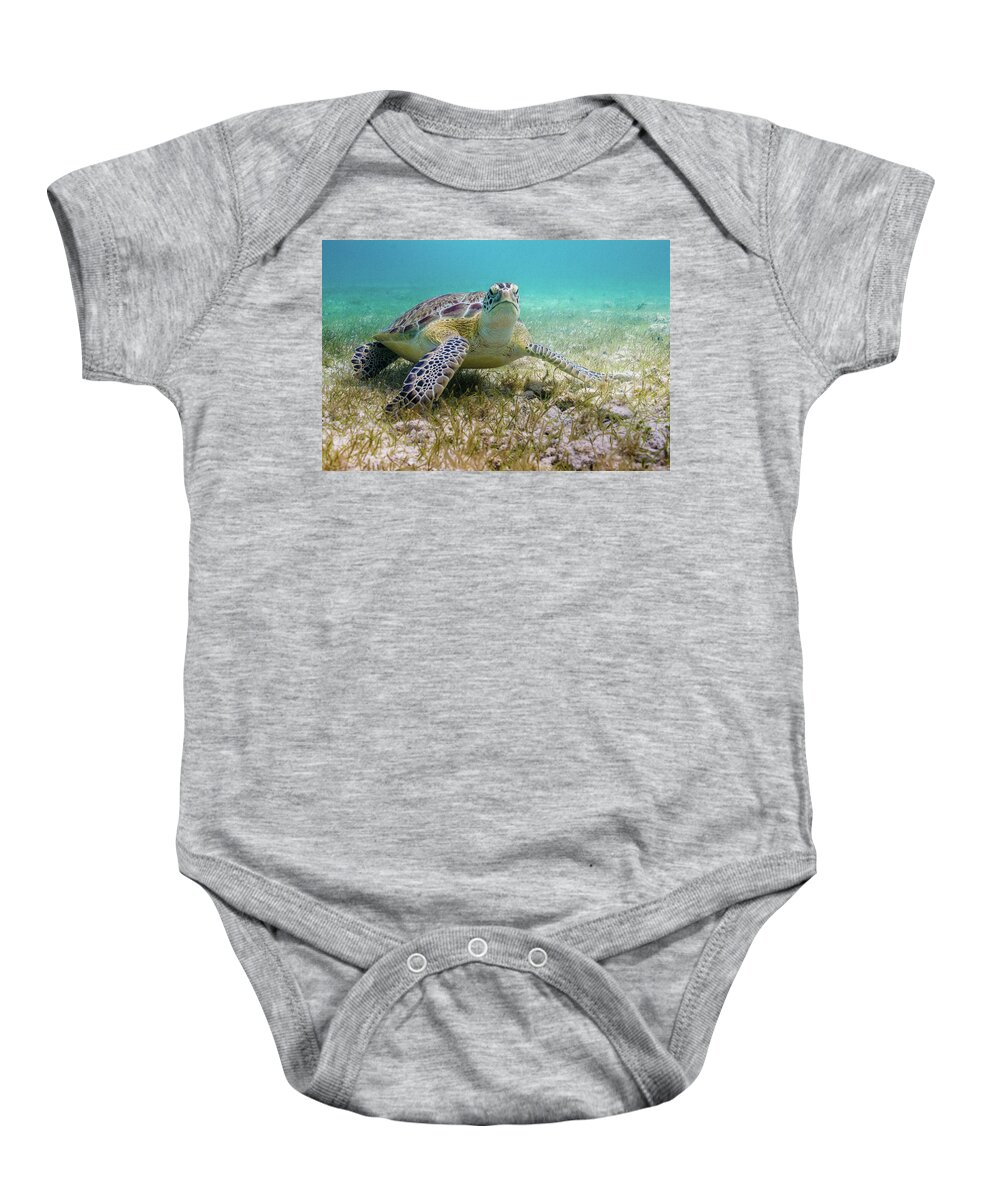 Turtle Baby Onesie featuring the photograph Dude by Lynne Browne