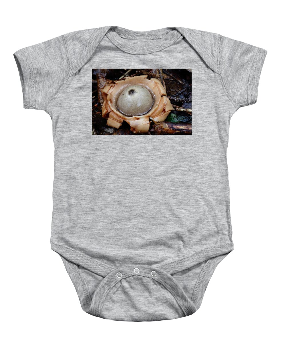 Geastrum Species Baby Onesie featuring the photograph Earthstar by Daniel Reed