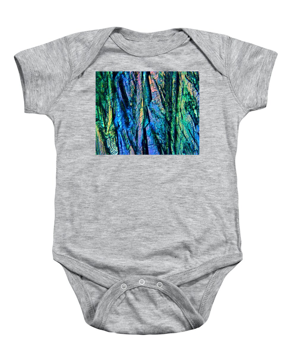  Baby Onesie featuring the photograph Fading Splendor by Rein Nomm