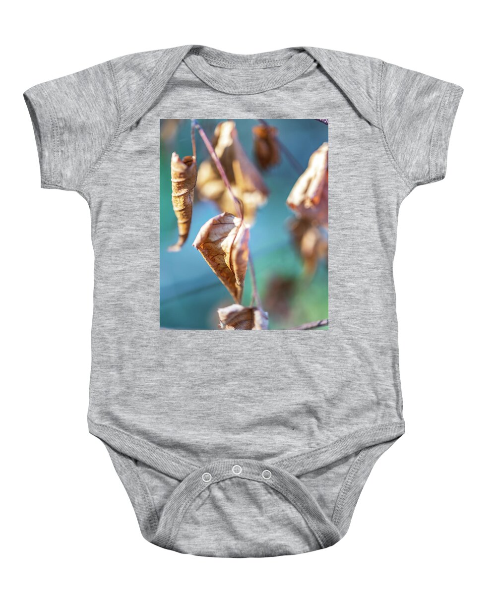 Leaves Baby Onesie featuring the photograph Nature Photography - Fall Leaves #1 by Amelia Pearn