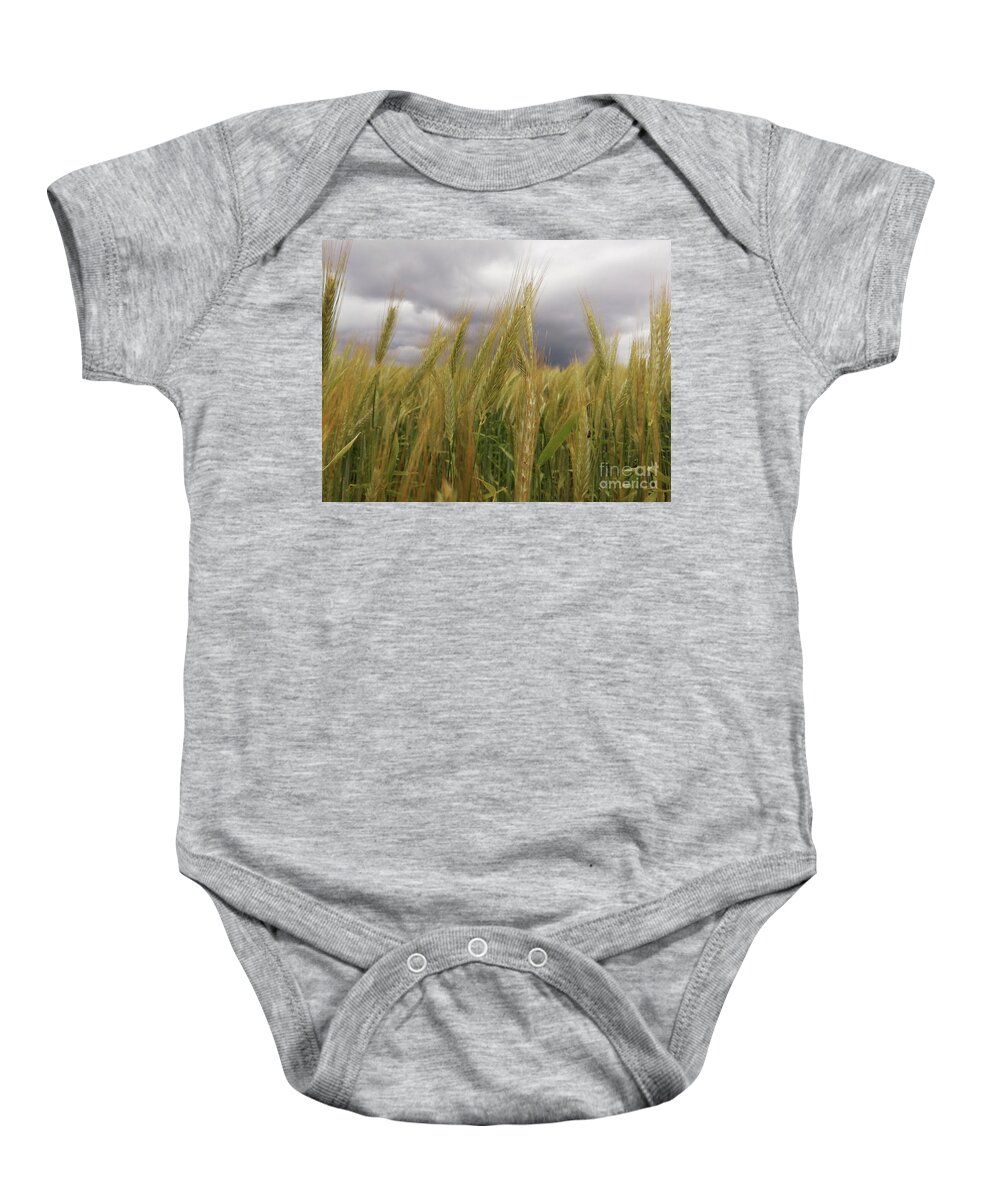 Nature Baby Onesie featuring the photograph Fields of Gold by Alexandra Vusir