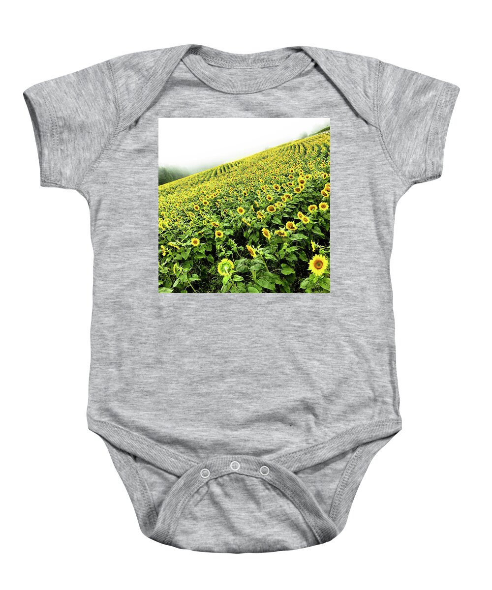 Sunflowers Baby Onesie featuring the photograph Fields of Yellow by Shane Kelly