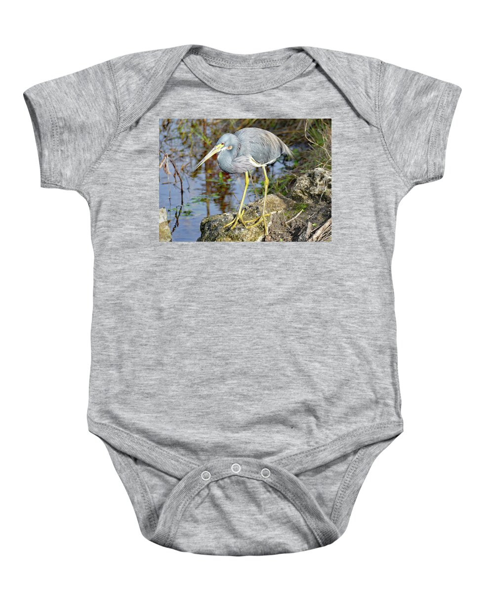 Bird Baby Onesie featuring the photograph Florida Tricolored Heron by Margaret Zabor