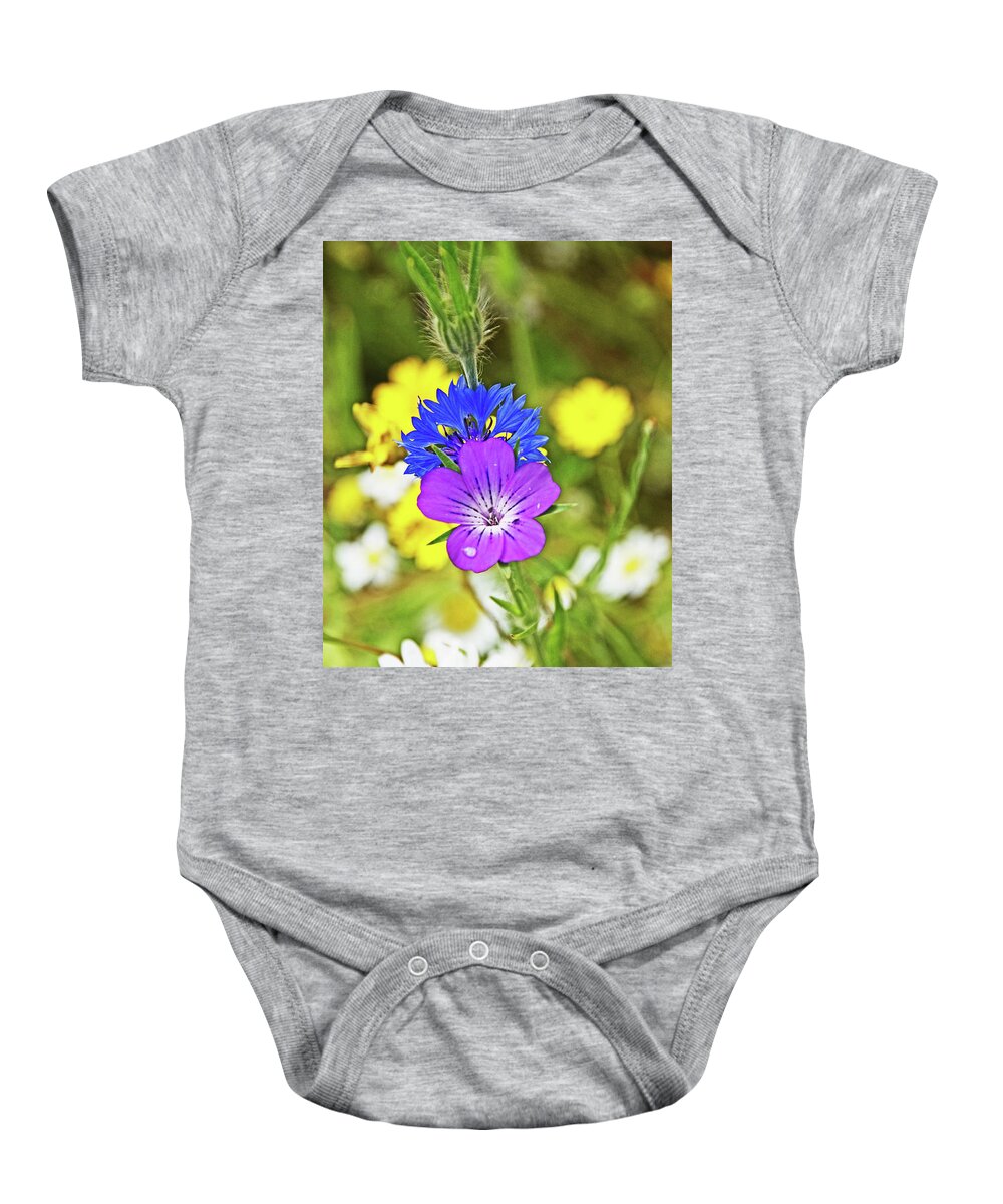 Flowers Cornflower Meadow Wildfowers Baby Onesie featuring the photograph Flowers In The Meadow. by Lachlan Main