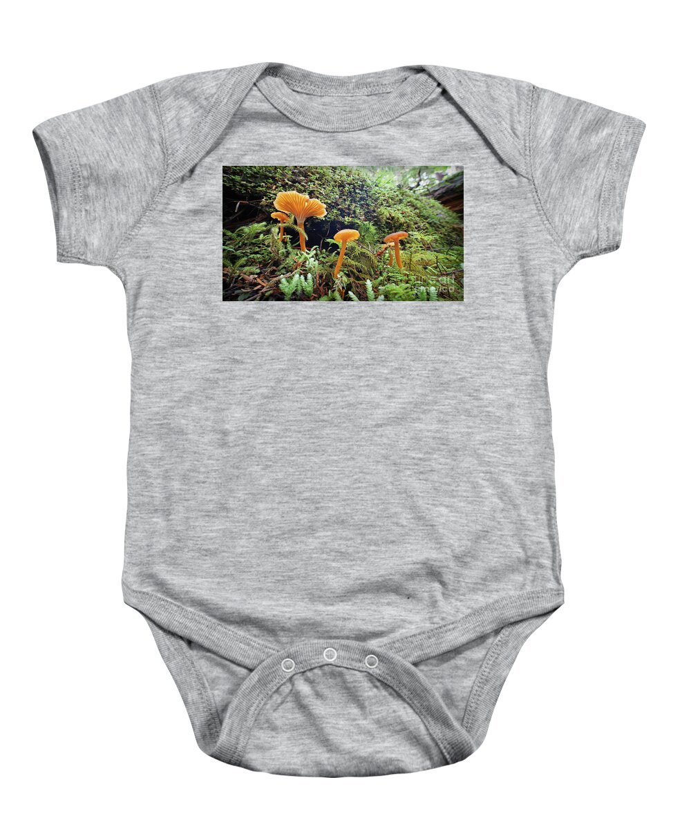 Earth Baby Onesie featuring the photograph Forest Fungi by Martin Konopacki