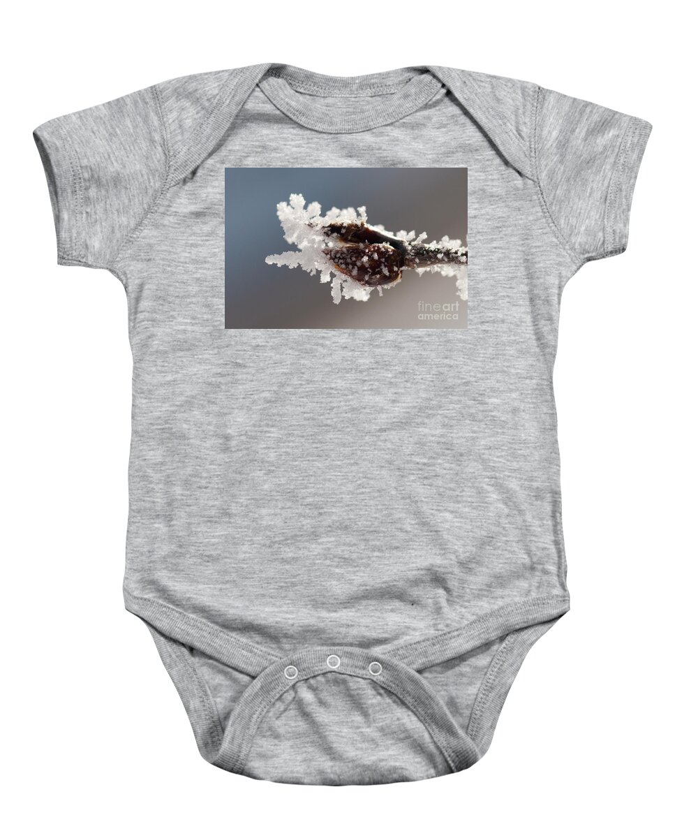 Colorado Baby Onesie featuring the photograph Frozen Buds by Julia McHugh