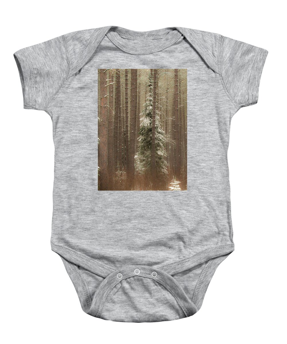 George Washington Pines Baby Onesie featuring the photograph George Washington Pines 2 by Joe Kopp