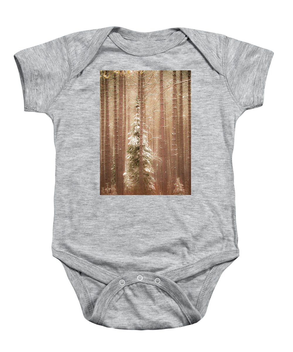 George Washington Pines Baby Onesie featuring the photograph George Washington Pines by Joe Kopp