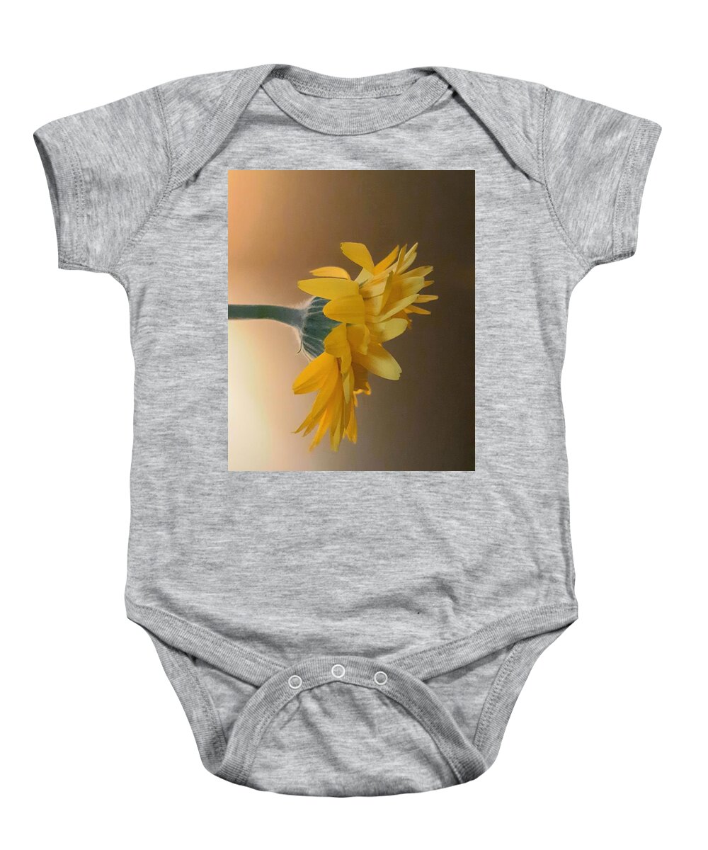 Flower Baby Onesie featuring the photograph Gerbera Daisy 2 by Harvest Moon Photography By Cheryl Ellis