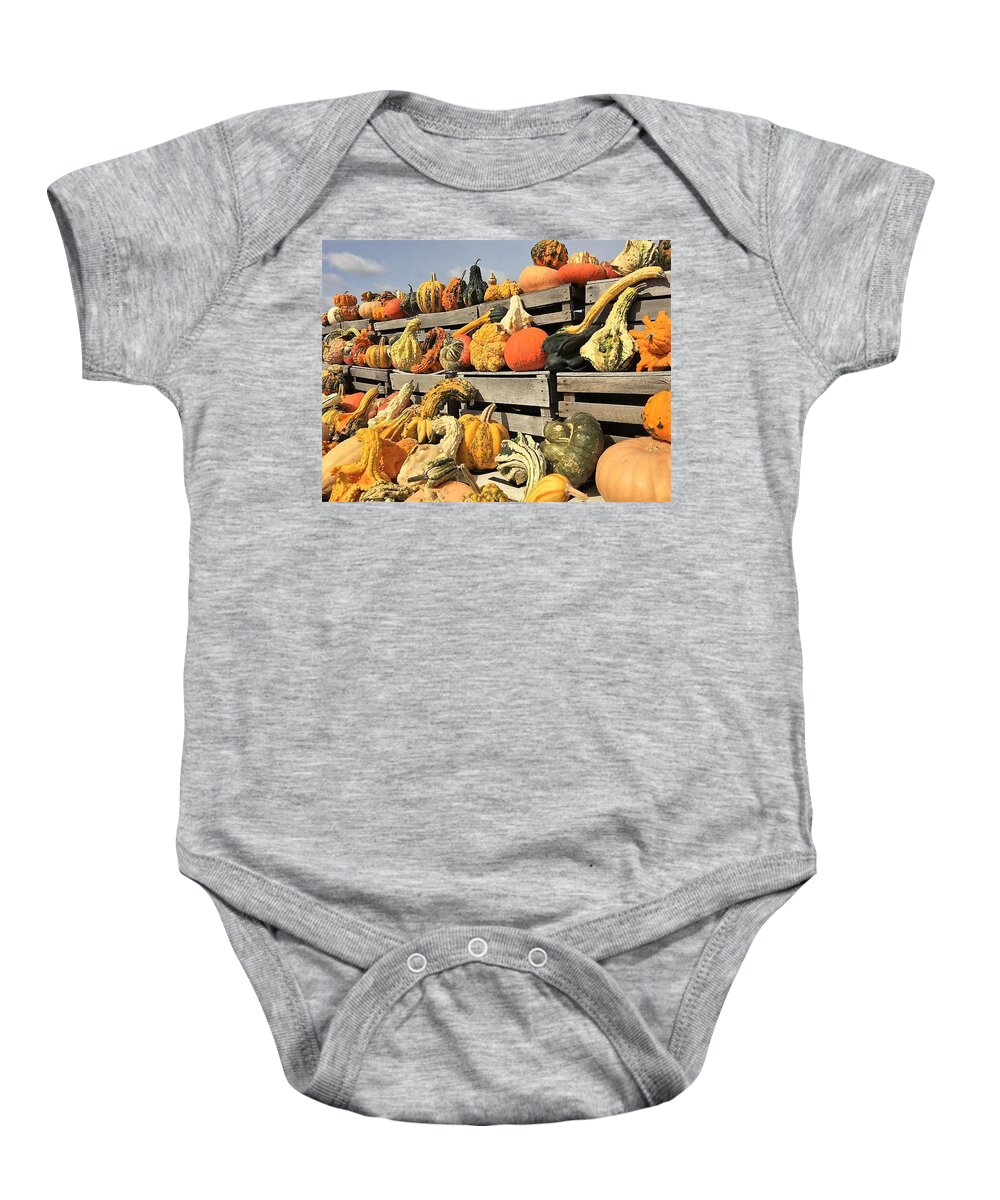 Pumpkin Baby Onesie featuring the painting Gourds on Dispaly by Elaine Duras