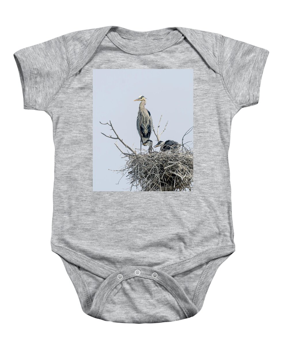Stillwater Wildlife Refuge Baby Onesie featuring the photograph Great Blue Heron Rookery 3 by Rick Mosher